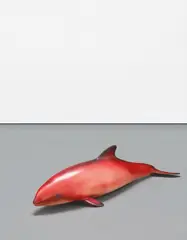 Carsten Höller, Red Baby Whale, 1995, polyurethane, enamel and faux eyelashes