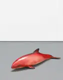 Carsten Höller, Red Baby Whale