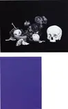 Two works: (i) [Monochrome-01-2007]; (ii) [Stillleben-15-2007] by Shirana Shahbazi, 2007, both c-print on aluminium, sold Jun 2017