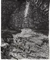 Sternenfall by Anselm Kiefer, 2007, gouache and glass on collaged photograph, sold Oct 2017