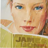 James Bond by Vladimir Dubossarsky and Alexandre Vinogradov, 2003, oil on canvas, sold Oct 2017