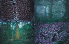 Follaje (Foliage) by Gabriel Orozco, 1997, iris print, offered Oct 2017