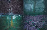 Gabriel Orozco, Follaje (Foliage)