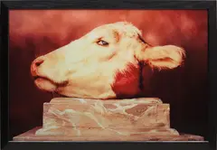 Cabeza de Vaca by Andres Serrano, 1984, c-print, in artist's frame, sold Oct 2017
