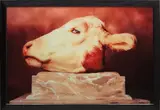 Andres Serrano, Cabeza de Vaca