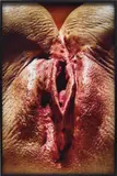 Cindy Sherman, Untitled (vagina), 1992, c-print, in artist's frame