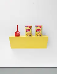 Haim Steinbach, pops, 2006, plastic laminated wood shelf, 1 plastic toilet brush and 2 “Pops” cereal boxes