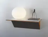 Haim Steinbach, Untitled (lamp, juicer)