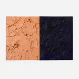 James Hayward, Athenian Flesh/Dark Blue (diptych)