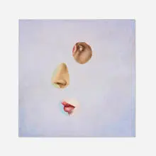 Ken Warneke, L.A. (Untitled), 1996, oil and acrylic on plywood
