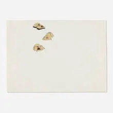 Stephen Sollins, Section, 2001, correction fluid on catalogue page