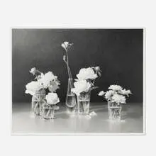 Skip Steinworth, Arrangement, White Flowers, 2002, graphite on paper mounted to paper board