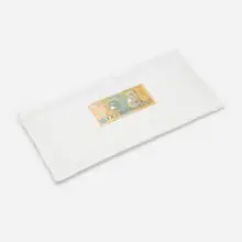 Jac Leirner, Currency (Little Pillow), 1991, polyester, found currency
