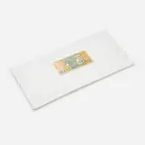 Jac Leirner, Currency (Little Pillow)