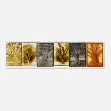 Judy Pfaff, Untitled, 2000, photogravure, surface roll, toned Kodalith mounted to paper