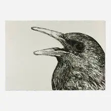 Gaia, Starling, 2010, woodcut