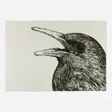 Gaia, Starling, 2010, woodcut