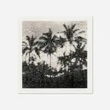 Michael Kenna, Palm Trees, Anakena, Easter Island