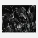 Paul Caponigro, Rock Wall No. 2, West Hartford, Connecticut