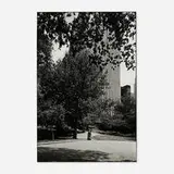 Garry Winogrand, Untitled, gelatin silver print