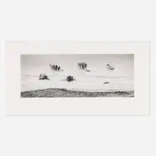 Michael Smith, Guerrero Negro, Baja, California, 2003, gelatin silver print