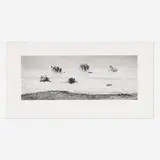Michael Smith, Guerrero Negro, Baja, California, 2003, gelatin silver print