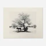 Pentti Sammallahti, Namibia, 2005, gelatin silver print