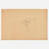 John Frederick Kensett, Untitled (Sketch of Tree)