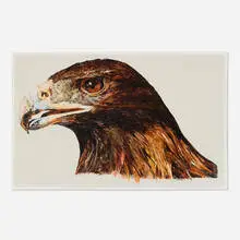 Joseph Raffael, Eagle, 1972, graphite and watercolor on illustration board