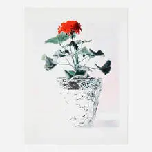 Alan Kessler, Red Geranium (from the 1776 USA 1976: Bicentennial Prints portfolio), lithograph in colors