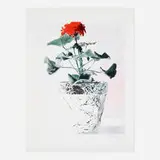 Alan Kessler, Red Geranium (from the 1776 USA 1976: Bicentennial Prints portfolio), lithograph in colors
