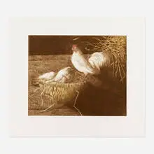 White Leghorns by Jamie Wyeth, 1981, etching in colors, sold Nov 2023