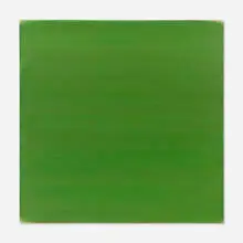 Phil Sims, Green Navigator (PS4492), 2008, acrylic on linen