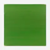 Phil Sims, Green Navigator (PS4492), 2008, acrylic on linen