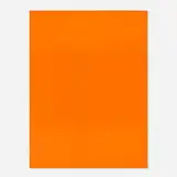 John Adams Griefen, Untitled (Orange), 2009, oil on canvas