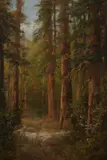 W. Watson, Grove of Redwoods, Oil on canvas