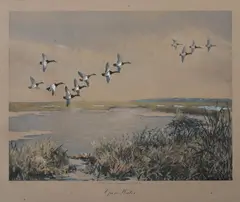 Roland Clark, Open Water, Hand-highlighted aquatint
