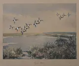 Roland Clark, Open Water