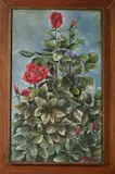 American School, Rose Bush