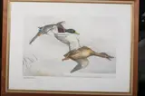 Léon Danchin, Geese in Flight, Lithograph