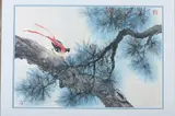 R. McLean, BIRD ON PINE TREE, singed lower left, Watercolor