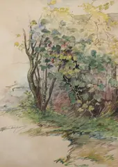 Walter Shirlaw, Tree in Spring, Watercolor