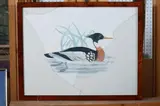 Italian School, SCAUP, color print, SCAUP, color print