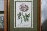 Continental School, FLOWERS IN JUNE, color print