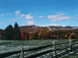 Michael McGovern, Between Seasons, Oil on canvas