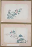 Jiang Jing, Blossoms, two ink and color on paper, sealed, Blossoms, two ink and color on paper, sealed