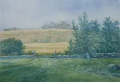 Henry Hitchings, Rock Fence and Buckwheat Field, Watercolor