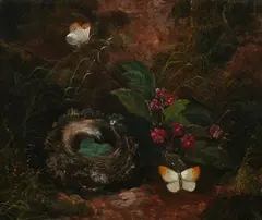 J Stuart, Bird'S Nest with Eggs, Oil on canvas