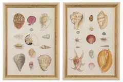 Louise Saunders, Untitled, watercolour