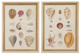 Louise Saunders, Untitled, watercolour